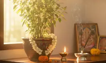 Idols Not Be Near the Tulasi Plant: తులసి కోట దగ్గర ఆ విగ్రహాలు అస్సలు ఉండకూడదా? పురాణాలు ఏం చెబుతున్నాయి?