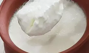 Eating Curd Cause Cold During Winter: చలికాలంలో పెరుగుతో జలుబు చేస్తుందా?