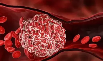 Bilirubin Levels Increase in the Blood: రక్తంలో బిలిరూబిన్ పెరిగితే ఏమవుతుంది?