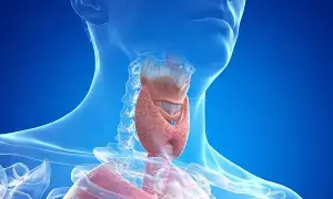 Thyroid Patients Alert:  థైరాయిడ్ రోగులు జాగ్రత్త: చలికాలంలో వీటి జోలికి అస్సలు పోవద్దు..