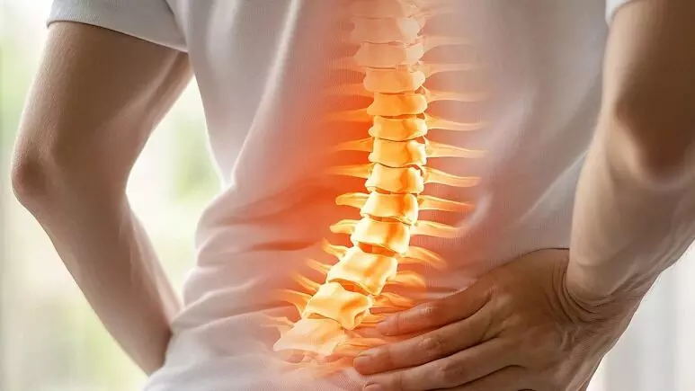 Lower Back Pain: నడుము నొప్పితో బాధపడేవారికి బిగ్  అలెర్ట్!
