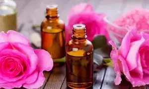 Rose Oil: రోజ్ ఆయిల్ తో మానసిక ప్రశాంతత Rose Oil: రోజ్ ఆయిల్ తో మానసిక ప్రశాంతత