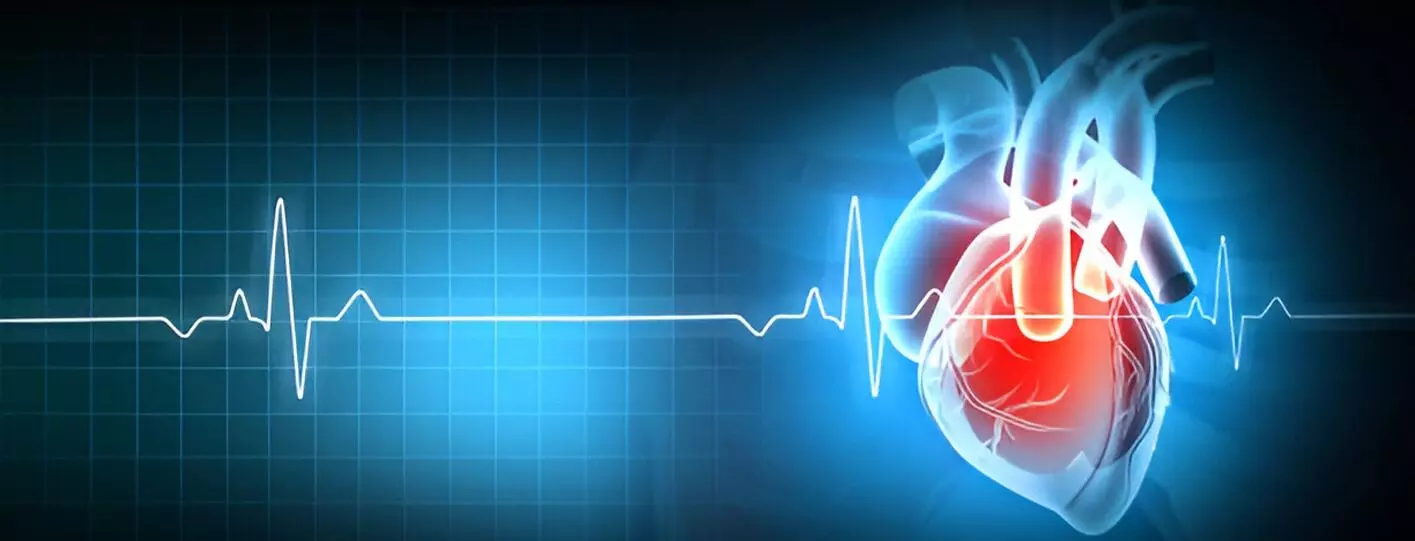 Heart Attack Be Detected Early with an ECG: ఈసీజీతో గుండెపోటును ముందే గుర్తించవచ్చా.? Heart Attack Be Detected Early with an ECG: ఈసీజీతో గుండెపోటును ముందే గుర్తించవచ్చా.?