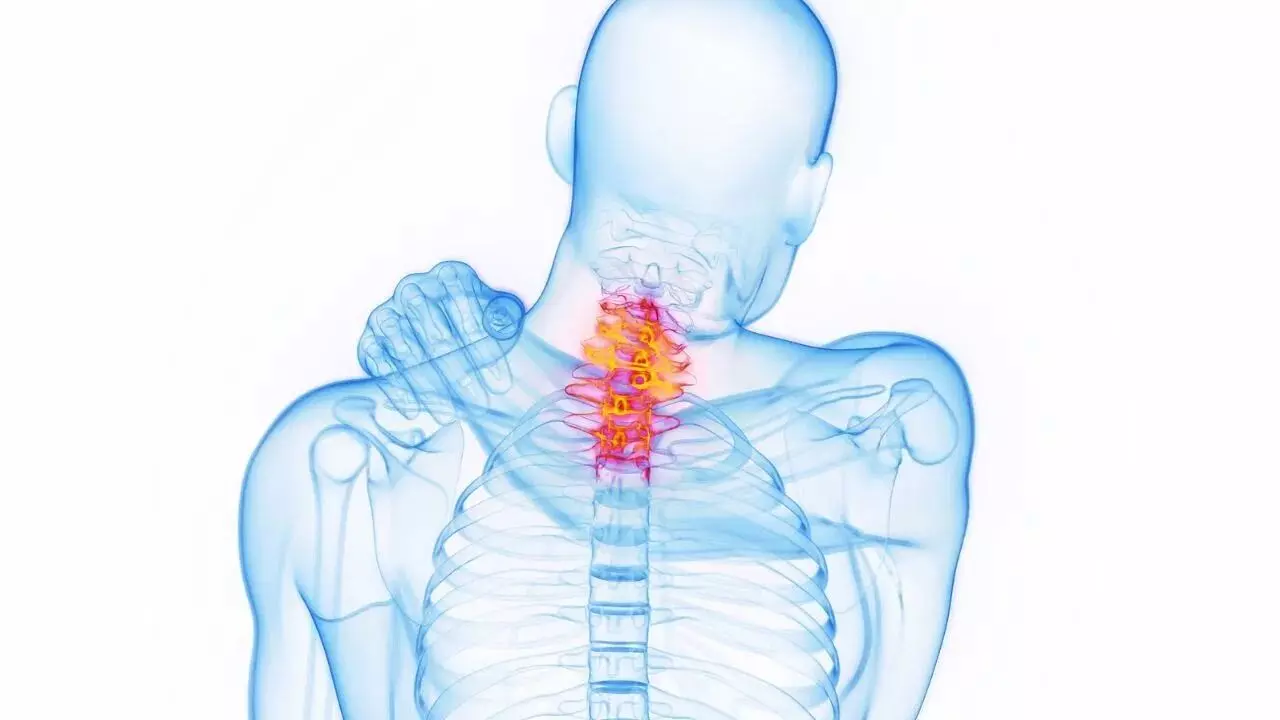 Cervical Spondylosis: మెడ నొప్పిని లైట్ తీసుకుంటున్నారా? అయితే జాగ్రత్త.. అది సర్వైకల్ స్పాండిలోసిస్ కావచ్చు Cervical Spondylosis: మెడ నొప్పిని లైట్ తీసుకుంటున్నారా? అయితే జాగ్రత్త.. అది సర్వైకల్ స్పాండిలోసిస్ కావచ్చు
