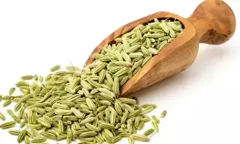Eating Fennel Seeds After Meals: భోజనం తర్వాత సోంపు తింటున్నారా? అయితే మంచిదో.. నకిలీదో ఇలా గుర్తించండి..