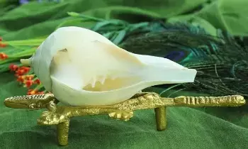 Just Having a Conch in the Pooja Room Is Enough:  పూజ గదిలో శంఖం ఉంటే చాలు.. సకల శుభాలు మీ సొంతం.. శంఖ ధ్వని వెనుక ఉన్న రహస్యాలివే..