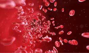To Boost Platelets at Home: ఇంట్లోనే ప్లేట్‌లెట్స్ పెంచుకోవాలంటే ఈ ఆహారాలు తప్పనిసరి..