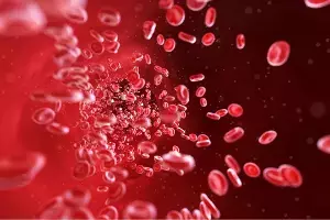 To Boost Platelets at Home: ఇంట్లోనే ప్లేట్‌లెట్స్ పెంచుకోవాలంటే ఈ ఆహారాలు తప్పనిసరి..