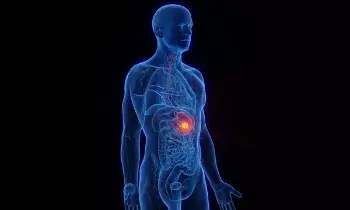 Constipation Lead to Cancer:మలబద్ధకాన్ని నిర్లక్ష్యం చేస్తే క్యాన్సర్ వస్తుందా? Constipation Lead to Cancer:మలబద్ధకాన్ని నిర్లక్ష్యం చేస్తే క్యాన్సర్ వస్తుందా?