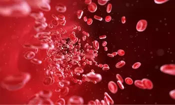To Boost Platelets at Home: ఇంట్లోనే ప్లేట్‌లెట్స్ పెంచుకోవాలంటే ఈ ఆహారాలు తప్పనిసరి..