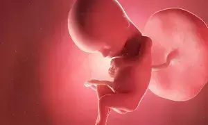 Miscarriages Occur Repeatedly: వరుసగా గర్భస్రావాలు అవుతుంటే ఏం చేయాలి?