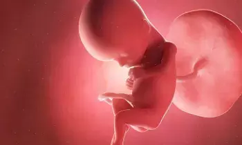 Miscarriages Occur Repeatedly: వరుసగా గర్భస్రావాలు అవుతుంటే ఏం చేయాలి?