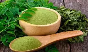 Drumstick Leaves: మునగాకుతో నిత్య యవ్వనం