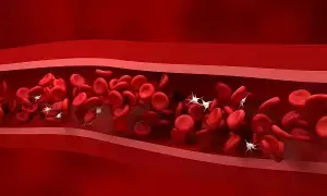 Platelet Count Drops During Winter:  చలికాలంలో తగ్గుతున్న ప్లేట్‌లెట్ కౌంట్.. కారణాలేంటి? ఈ లక్షణాలను అస్సలు నిర్లక్ష్యం చేయకండి