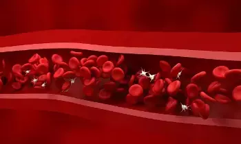 Platelet Count Drops During Winter:  చలికాలంలో తగ్గుతున్న ప్లేట్‌లెట్ కౌంట్.. కారణాలేంటి? ఈ లక్షణాలను అస్సలు నిర్లక్ష్యం చేయకండి