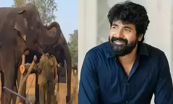 Sivakarthikeyan: రియల్ హీరో అనిపించుకున్న శివ కార్తికేయన్.. ఏనుగును దత్తత తీసుకున్న స్టార్ హీరో..