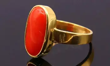 Symbol of Courage and Success:  ధైర్యానికి, విజయానికి కేరాఫ్ పగడం.. ఈ రత్నం ధరిస్తే తిరుగుండదా?