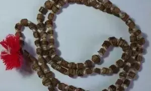 Wearing a Tulasi Mala: తులసి మాల ధరిస్తున్నారా? ఈ నియమాలు తెలియకపోతే పుణ్యం కంటే పాపమే ఎక్కువ..