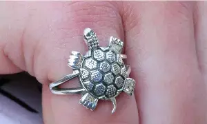 Wearing a Ruby Ring: తాబేలు ఉంగరం ధరిస్తున్నారా? ఈ రాశుల వారు ధరిస్తే కష్టాలు తప్పవు..