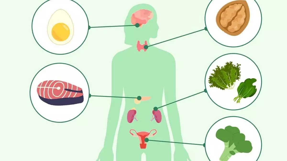 Hormonal Imbalance: హార్మోన్ల అసమతుల్యత వల్లే వచ్చే సమస్యలివే.. Hormonal Imbalance: హార్మోన్ల అసమతుల్యత వల్లే వచ్చే సమస్యలివే..