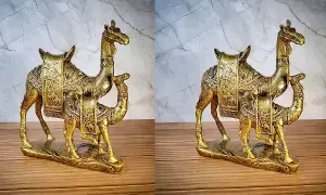 Keeping a Camel Idol at Home: ఇంట్లో ఒంటె విగ్రహం ఉంచుతున్నారా? ఈ దిశలో పెడితే ఐశ్వర్యం మీ సొంతం.. Keeping a Camel Idol at Home: ఇంట్లో ఒంటె విగ్రహం ఉంచుతున్నారా? ఈ దిశలో పెడితే ఐశ్వర్యం మీ సొంతం..