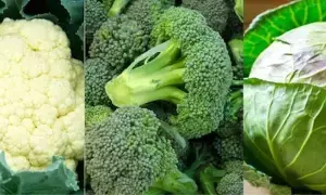 Cabbage, Cauliflower or Broccoli: క్యాబేజీ, కాలీఫ్లవర్, బ్రోకలీ: ఈ మూడింటిలో పోషకాల రారాజు ఎవరు? Cabbage, Cauliflower or Broccoli: క్యాబేజీ, కాలీఫ్లవర్, బ్రోకలీ: ఈ మూడింటిలో పోషకాల రారాజు ఎవరు?