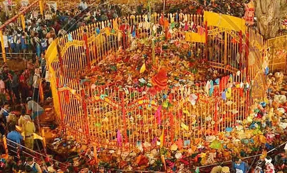 Sammakka-Saralamma Maha Jatara: మేడారం మహా జాతర: జనసంద్రంతో నిండిపోయిన వనదేవతల కొలువు Sammakka-Saralamma Maha Jatara: మేడారం మహా జాతర: జనసంద్రంతో నిండిపోయిన వనదేవతల కొలువు