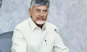 CM Chandrababu Naidu Warns: చంద్రబాబు హెచ్చరిక: వైకాపా ఉచ్చులో పడకండి.. చట్టబద్ధంగానే ఎదుర్కోండి