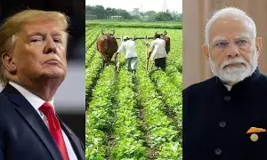 India-US Deal : అమెరికా వ్యాపార ఒప్పందం నుంచి వ్యవసాయ రంగాన్ని ఎందుకు తప్పించారు