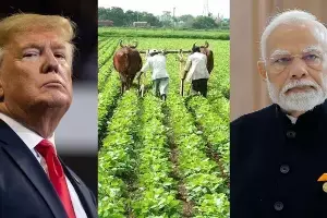 India-US Deal : అమెరికా వ్యాపార ఒప్పందం నుంచి వ్యవసాయ రంగాన్ని ఎందుకు తప్పించారు
