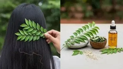 Hair Fall Troubles: జుట్టు రాలుతోందా? వంటింట్లోని ఈ ఆకుతో మెరిసే నల్లని జుట్టు మీ సొంతం.. Hair Fall Troubles: జుట్టు రాలుతోందా? వంటింట్లోని ఈ ఆకుతో మెరిసే నల్లని జుట్టు మీ సొంతం..