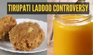 TTD Adulterated Ghee Case:  టీటీడీ కల్తీ నెయ్యి కేసు: తయారీలో ప్రమాదకర లబ్సా రసాయనం వాడకం