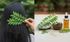 Hair Fall Troubles: జుట్టు రాలుతోందా? వంటింట్లోని ఈ ఆకుతో మెరిసే నల్లని జుట్టు మీ సొంతం.. Hair Fall Troubles: జుట్టు రాలుతోందా? వంటింట్లోని ఈ ఆకుతో మెరిసే నల్లని జుట్టు మీ సొంతం..