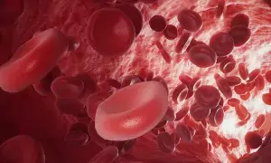 Feeling Tired and Experiencing Hair Fall: మహిళల్లో అలసట, జుట్టు రాలడం వేధిస్తున్నాయా? కారణం ఐరన్ లోపం కావచ్చు.. Feeling Tired and Experiencing Hair Fall: మహిళల్లో అలసట, జుట్టు రాలడం వేధిస్తున్నాయా? కారణం ఐరన్ లోపం కావచ్చు..