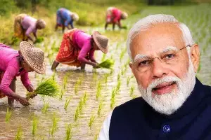 PM Kisan  : ప్రధాని మోదీ బంపర్ గిఫ్ట్..ఆ రైతులకు డబుల్ ధమాకా, ఒకేసారి రూ.4,000 జమ