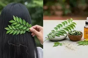 Hair Fall Troubles: జుట్టు రాలుతోందా? వంటింట్లోని ఈ ఆకుతో మెరిసే నల్లని జుట్టు మీ సొంతం..
