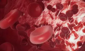 Feeling Tired and Experiencing Hair Fall: మహిళల్లో అలసట, జుట్టు రాలడం వేధిస్తున్నాయా? కారణం ఐరన్ లోపం కావచ్చు..