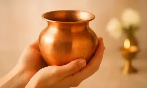 Keep Ganga Jal at Home: ఇంట్లో గంగాజలం ఉందా? వాస్తు ప్రకారం ఈ తప్పులు చేస్తే పుణ్యం కంటే దోషమే ఎక్కువ..