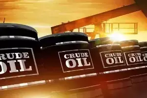 Oil Reserves : ముడి చమురు దిగుమతులు ఆగిపోతే భారత్ పరిస్థితి ఏంటి? మన దగ్గర ఎన్ని రోజుల నిల్వలున్నాయి?