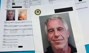 Epstein Files: ఎప్‌స్టీన్‌ ఫైళ్లు: ఎఫ్‌బీఐ దర్యాప్తు ప్రారంభమైన రోజున 330 గ్యాలన్ల సల్ఫ్యూరిక్‌ ఆమ్లం కొనుగోలు చేసిన ఎప్‌స్టీన్‌..?