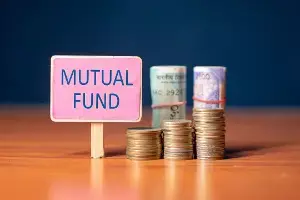 Mutual Fund : మ్యూచువల్ ఫండ్లలో పెట్టుబడి మొదలుపెడుతున్నారా? ఇలా పోర్ట్‌ఫోలియో ఉంటే లాభాలే లాభాలు