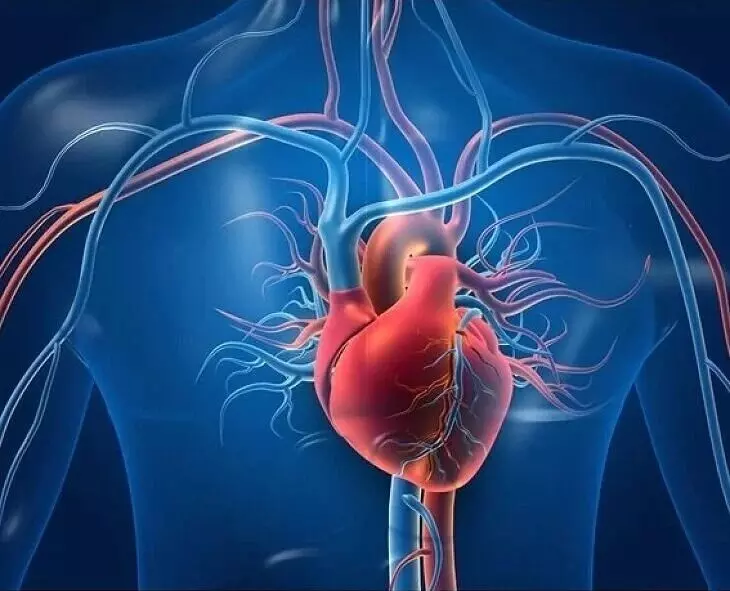 Increase Good Cholesterol Naturally: గుడ్ కొలెస్ట్రాల్ పెంచుకోవడానికి ఇలా చేయండి! Increase Good Cholesterol Naturally: గుడ్ కొలెస్ట్రాల్ పెంచుకోవడానికి ఇలా చేయండి!