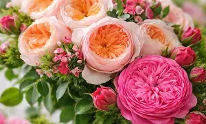 Worlds Costliest Rose: ప్రపంచంలోనే అత్యంత ఖరీదైన జూలియట్ రోజ్ ధర ఎంతో తెలిస్తే కళ్లు తిరిగి పడడం ఖాయం Worlds Costliest Rose: ప్రపంచంలోనే అత్యంత ఖరీదైన జూలియట్ రోజ్ ధర ఎంతో తెలిస్తే కళ్లు తిరిగి పడడం ఖాయం