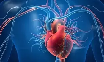 Increase Good Cholesterol Naturally: గుడ్ కొలెస్ట్రాల్ పెంచుకోవడానికి ఇలా చేయండి! Increase Good Cholesterol Naturally: గుడ్ కొలెస్ట్రాల్ పెంచుకోవడానికి ఇలా చేయండి!