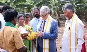 AP CM N. Chandrababu Naidu Meets Bill Gates: ఏపీ సీఎం చంద్రబాబు - బిల్ గేట్స్ భేటీ: ఆరోగ్యం, విద్య, వ్యవసాయ రంగాల్లో సహకారం