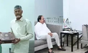 Tummala Urges N. Chandrababu Naidu: ఐదు ఆంధ్రప్రదేశ్ గ్రామాలను తెలంగాణలో కలపాలని చంద్రబాబును కోరిన తుమ్మల