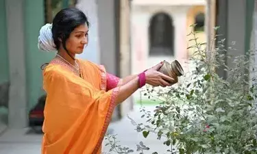 Tulsi Plant in Your Home Drying Up: మీ ఇంట్లోని తులసి మొక్క ఎండిపోతుందా? ఈ చిన్న వంటగది చిట్కాతో మళ్ళీ పచ్చగా మార్చండి..