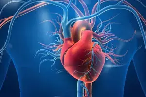 Keep Your Heart Healthy: గుండె పదిలంగా ఉండాలంటే.. డాక్టర్లు సూచించే బెస్ట్ వ్యాయామాలు ఇవే..