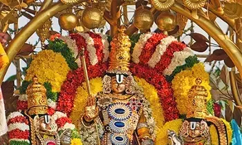 Jubilee Hills Sri Venkateswara Swamy annual Brahmotsavam: కల్పవృక్ష వాహనంపై శ్రీ వేంకటేశ్వర స్వామి వారి అనుగ్రహం