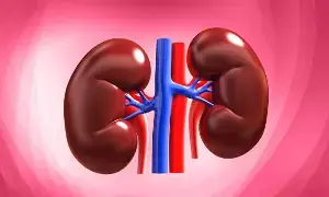 Damaging Your Kidneys: మీరు రోజూ చేసే ఈ చిన్న చిన్న తప్పులే మీ కిడ్నీలను ఖతం చేస్తాయి..
